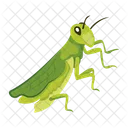 カマキリのアイコン、かわいいカマキリ、マントデア アイコン