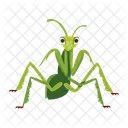 カマキリのアイコン、かわいいカマキリ、マントデア アイコン