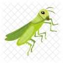 カマキリのアイコン、かわいいカマキリ、マントデア アイコン
