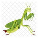 カマキリのアイコン、かわいいカマキリ、マントデア アイコン