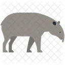 Malayan Tapir Animal Wildlife Icône