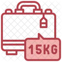 10 Kg Weight  Icon