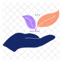 100 Plant Based  Icon