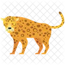 Snow Leopard Animal Wildlife Icon