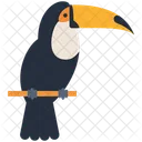 Toucan Bird Animal Icon