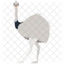 Ostrchih Emu Vogel Symbol