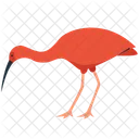 Flamingo Bird Animal Symbol