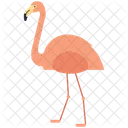 Flamingo Passaro Animal Ícone
