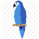 Macaw Parrot Bird Icône
