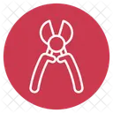50  Icon