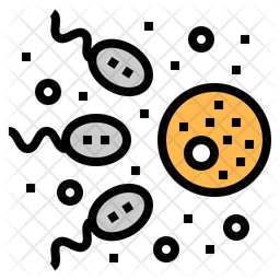 54 Icon