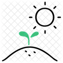 Seedling Growing Plant Icon