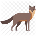 Wolf Fuchs Tier Symbol
