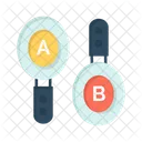 A B Testing  Icon