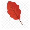 A Leaf Leaf Nature Icon