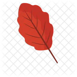 A Leaf  Icon