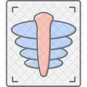 Xray Medical Healthcare Icon