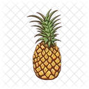 Ananas Genero Abacaxi Ícone