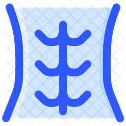 Abdominal  Icon