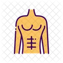 Abdominal Exercise Six Pack Six Pack Abs Icon