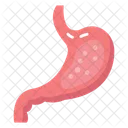 Abdominal Organ Digestive Organ Gastric Chamber Icône