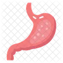 Abdominal organ Icon