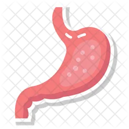 Abdominal organ  Icon