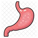 Abdominal Organ Digestive Organ Gastric Chamber Icon