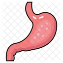 Abdominal Organ Digestive Organ Gastric Chamber Icon