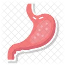 Abdominal Organ Digestive Organ Gastric Chamber Icon