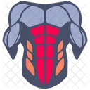 Abdominales  Icono