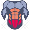Abdominales inferiores  Icono