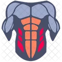 Abdominales laterales  Icono