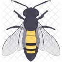 Abeja  Icono