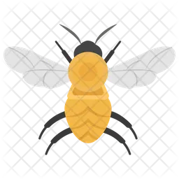 Abeja  Icon