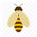 Abeja  Icono