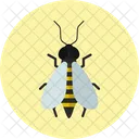 Abeja  Icono