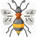 Abeja  Icono