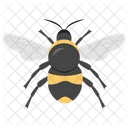 Abeja  Icono