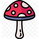 Mushroom Muscaria Fungi Icono