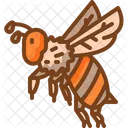 Abeja  Icono