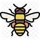 Abeja  Icono