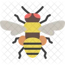 Abeja  Icono