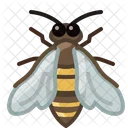 Abeja  Icono