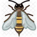 Abeja  Icono