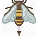 Abeja  Icono