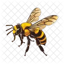 Abeja Icono