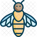 Honeybeem Abelha Apis Icon