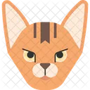 Abessinierkatze Symbol