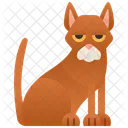 Abessinierkatze  Symbol